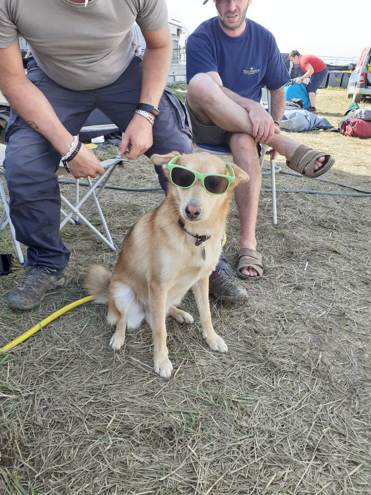 Le bar de la guinguette